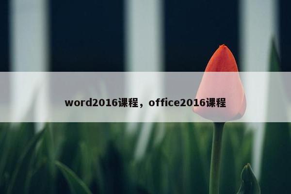 word2016课程，office2016课程
