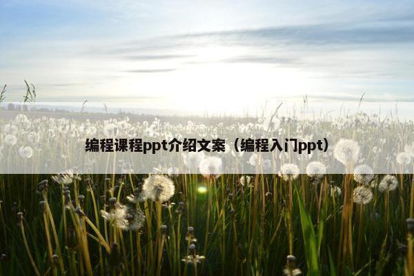 编程课程ppt介绍文案（编程入门ppt）