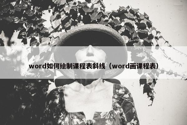 word如何绘制课程表斜线（word画课程表）