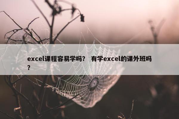 excel课程容易学吗？ 有学excel的课外班吗？