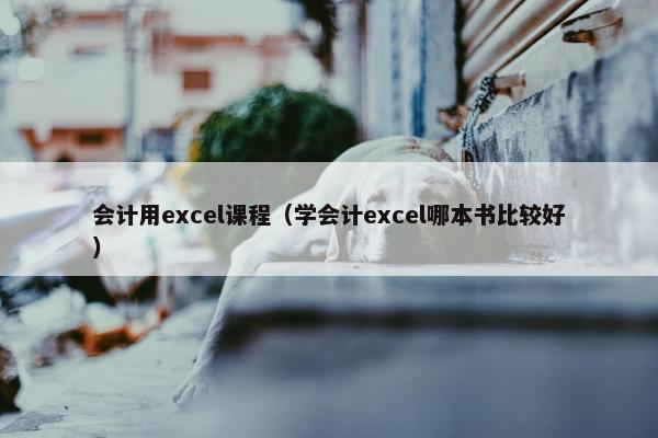 会计用excel课程（学会计excel哪本书比较好）