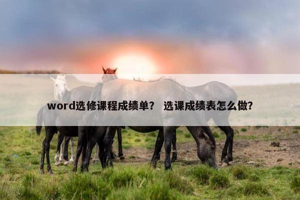 word选修课程成绩单？ 选课成绩表怎么做？