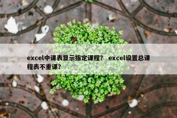 excel中课表显示指定课程？ excel设置总课程表不重课？