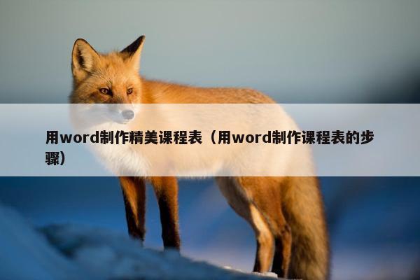 用word制作精美课程表（用word制作课程表的步骤）