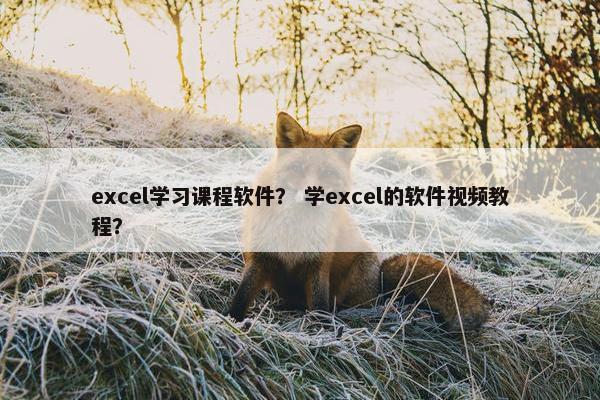 excel学习课程软件？ 学excel的软件视频教程？