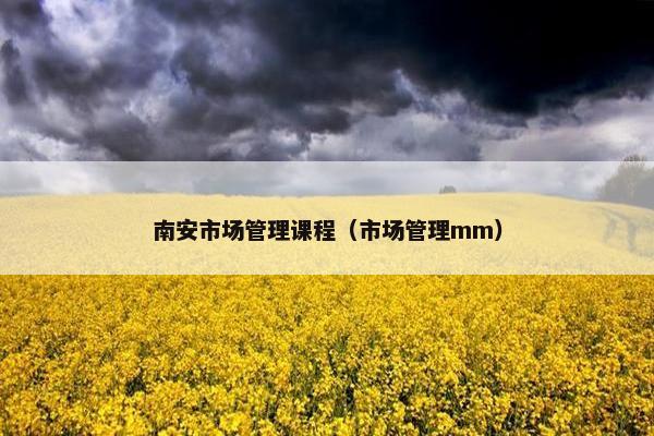 南安市场管理课程（市场管理mm）