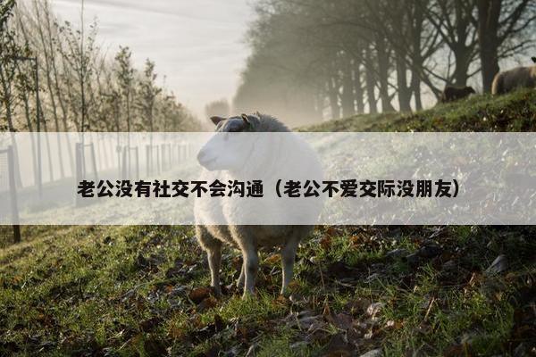 老公没有社交不会沟通（老公不爱交际没朋友）