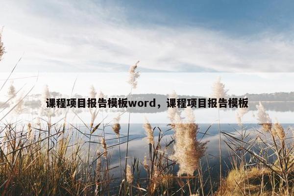 课程项目报告模板word，课程项目报告模板
