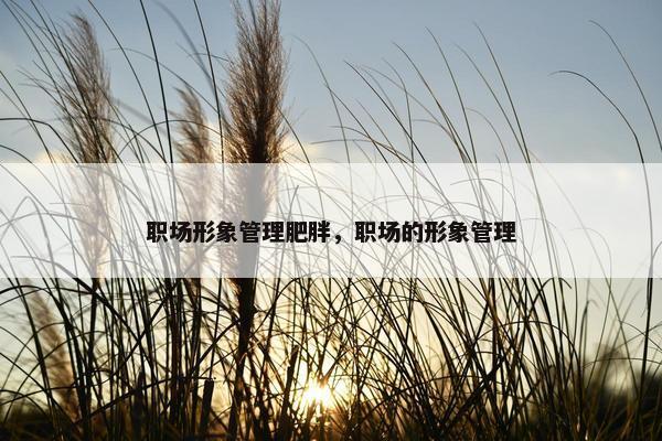 职场形象管理肥胖，职场的形象管理