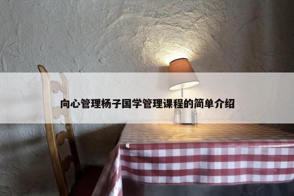 向心管理杨子国学管理课程的简单介绍
