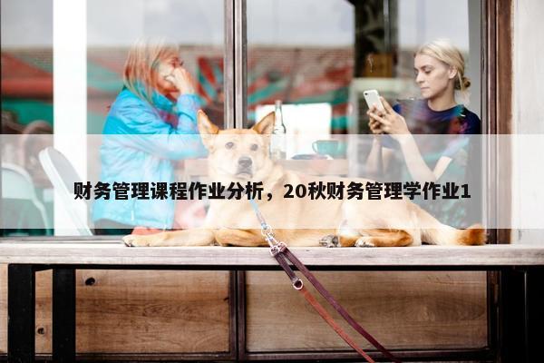 财务管理课程作业分析，20秋财务管理学作业1