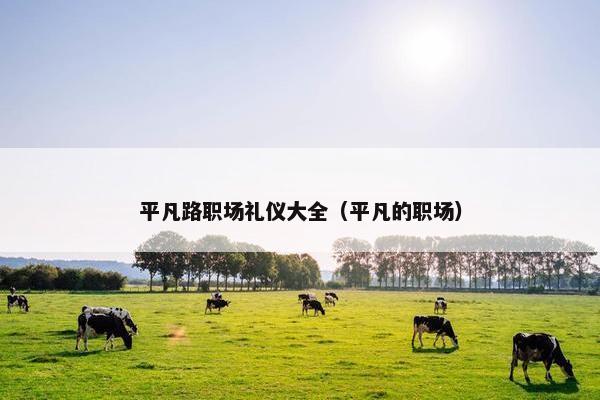 平凡路职场礼仪大全（平凡的职场）