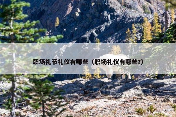 职场礼节礼仪有哪些（职场礼仪有哪些?）