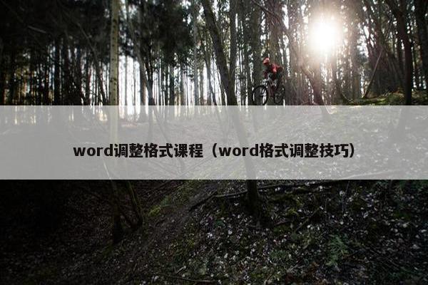 word调整格式课程（word格式调整技巧）