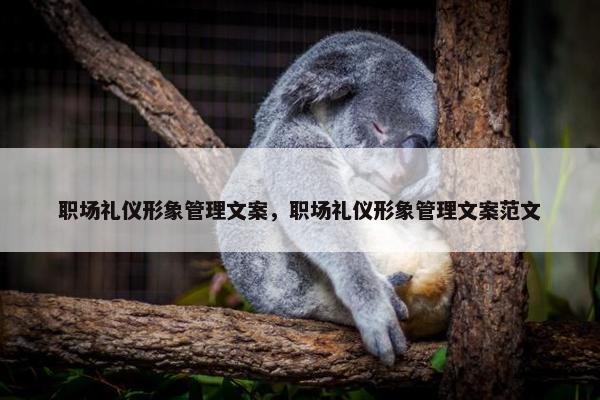 职场礼仪形象管理文案，职场礼仪形象管理文案范文
