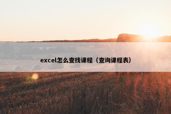 excel怎么查找课程（查询课程表）