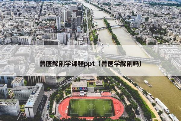 兽医解剖学课程ppt（兽医学解剖吗）