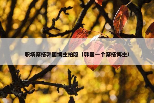 职场穿搭韩国博主拍照（韩国一个穿搭博主）