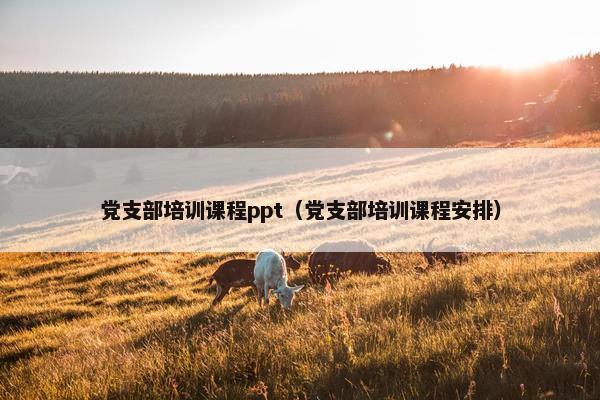 党支部培训课程ppt（党支部培训课程安排）