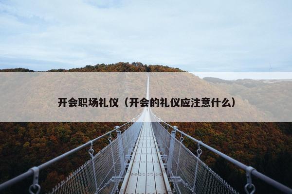 开会职场礼仪（开会的礼仪应注意什么）