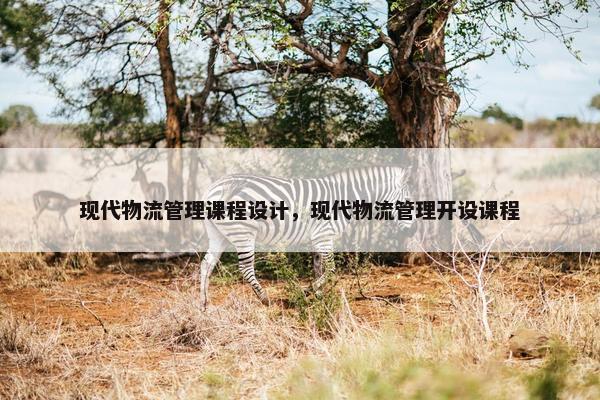 现代物流管理课程设计，现代物流管理开设课程