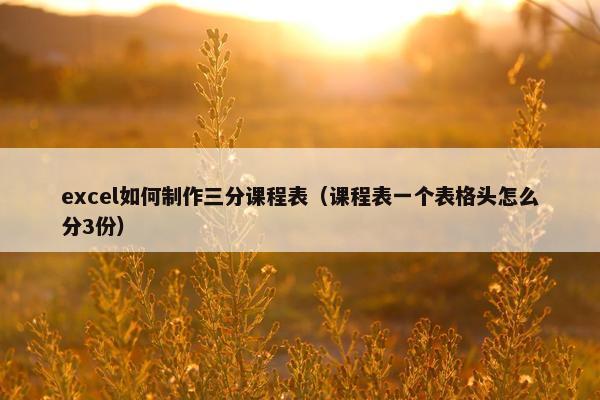 excel如何制作三分课程表（课程表一个表格头怎么分3份）