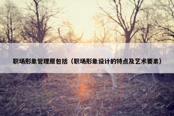 职场形象管理原包括（职场形象设计的特点及艺术要素）