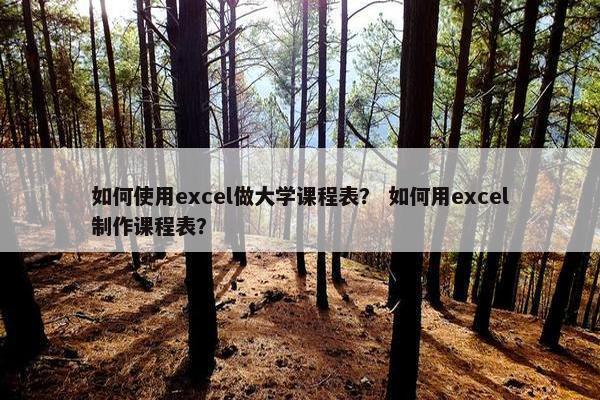 如何使用excel做大学课程表？ 如何用excel制作课程表？