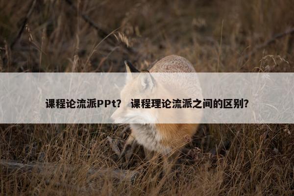 课程论流派PPt？ 课程理论流派之间的区别？
