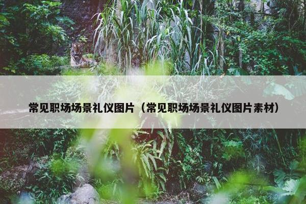 常见职场场景礼仪图片（常见职场场景礼仪图片素材）