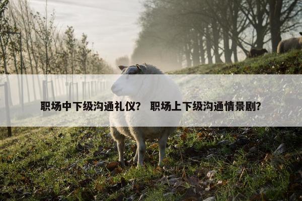 职场中下级沟通礼仪？ 职场上下级沟通情景剧？