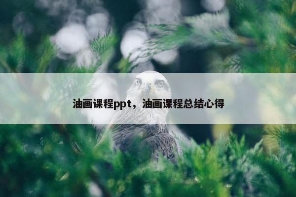 油画课程ppt，油画课程总结心得
