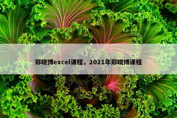 郑晓博excel课程，2021年郑晓博课程