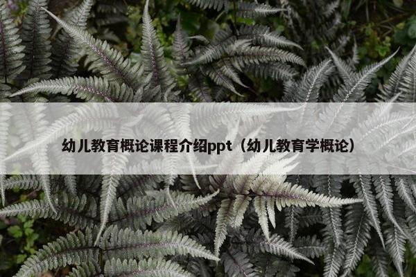 幼儿教育概论课程介绍ppt（幼儿教育学概论）