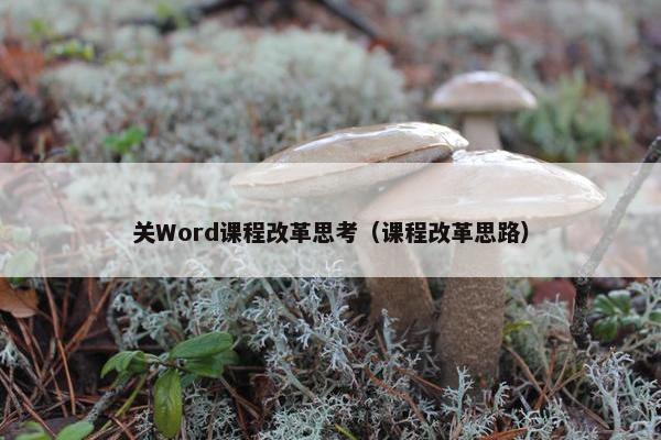 关Word课程改革思考（课程改革思路）