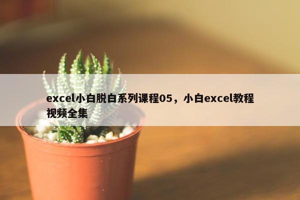 excel小白脱白系列课程05，小白excel教程视频全集