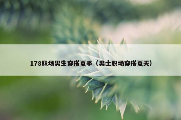 178职场男生穿搭夏季（男士职场穿搭夏天）