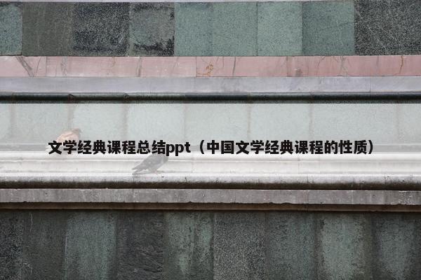 文学经典课程总结ppt（中国文学经典课程的性质）