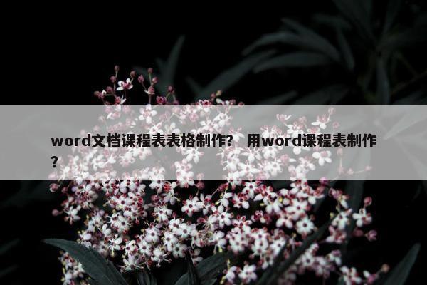 word文档课程表表格制作？ 用word课程表制作？