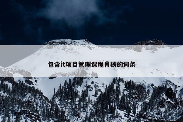 包含it项目管理课程肖扬的词条