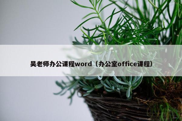吴老师办公课程word（办公室office课程）