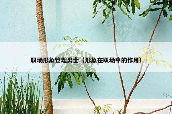 职场形象管理男士（形象在职场中的作用）