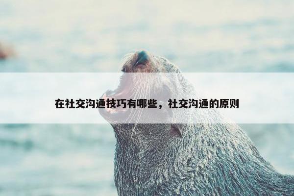 在社交沟通技巧有哪些，社交沟通的原则
