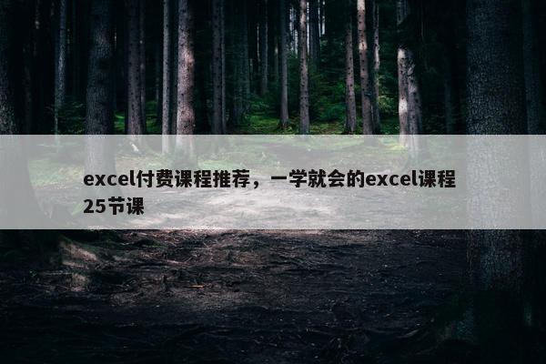 excel付费课程推荐，一学就会的excel课程 25节课