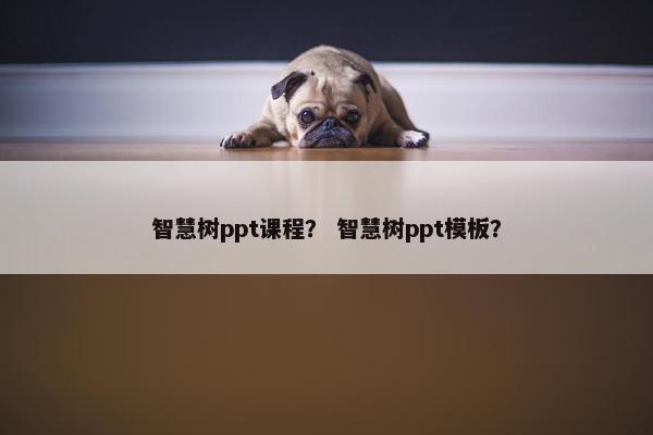 智慧树ppt课程？ 智慧树ppt模板？