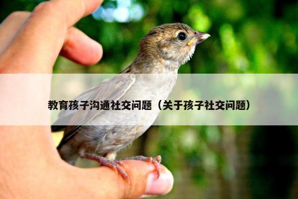 教育孩子沟通社交问题（关于孩子社交问题）