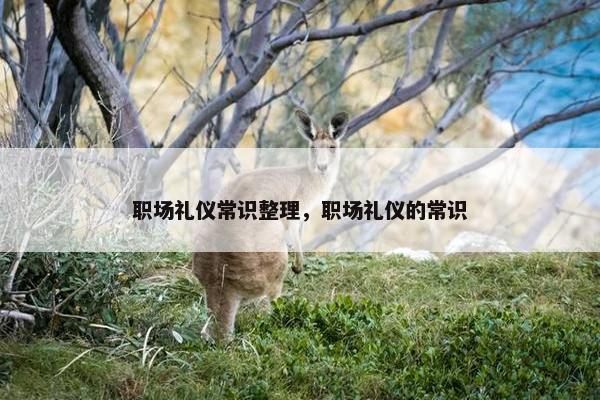 职场礼仪常识整理，职场礼仪的常识
