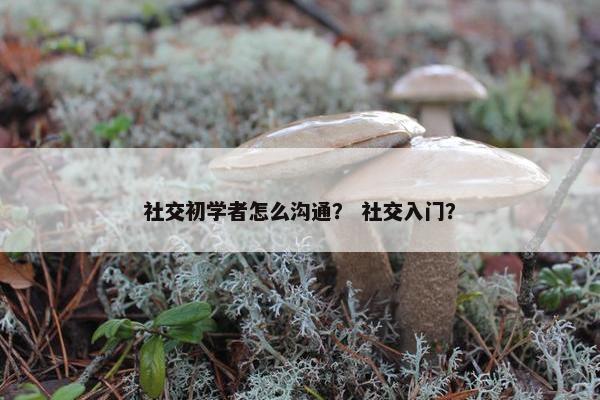 社交初学者怎么沟通？ 社交入门？