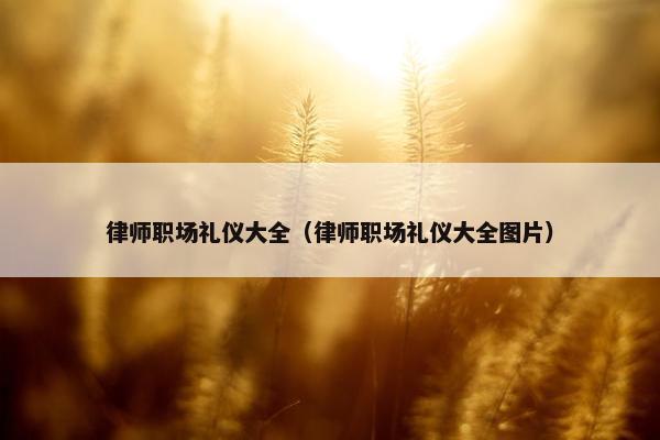 律师职场礼仪大全（律师职场礼仪大全图片）