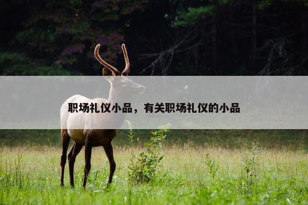 职场礼仪小品，有关职场礼仪的小品